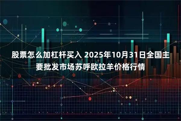 股票怎么加杠杆买入 2025年10月31日全国主要批发市场苏呼欧拉羊价格行情