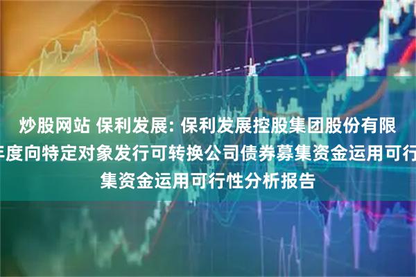 炒股网站 保利发展: 保利发展控股集团股份有限公司2025年度向特定对象发行可转换公司债券募集资金运用可行性分析报告